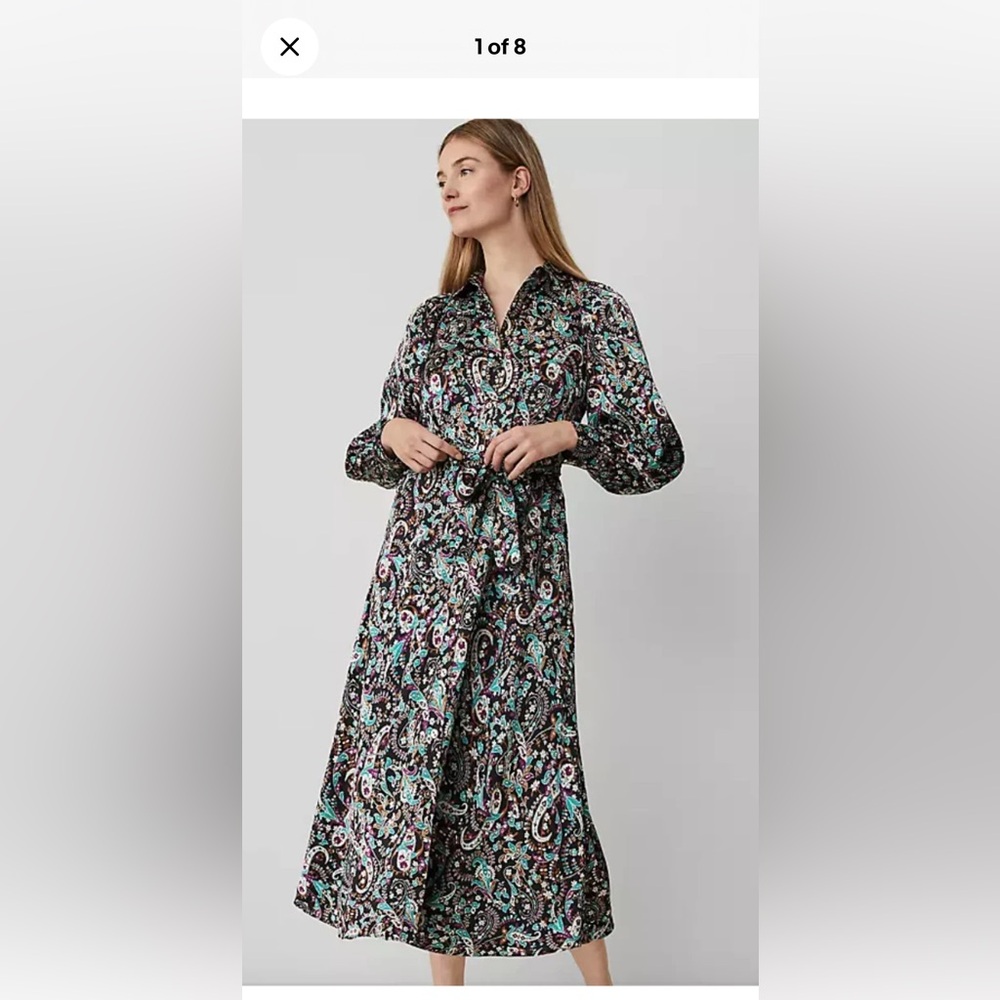 Ann Taylor Multicolor Paisley Maxi Dress 6P
